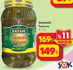 BİZİM VATAN SALATALIK TURŞUSU 3 KG fiyat ve kampanya bilgisi